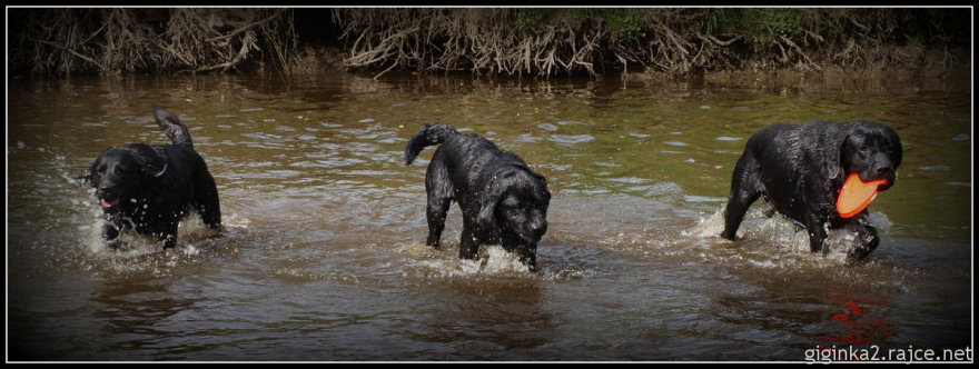 Labrado�� sme�ka